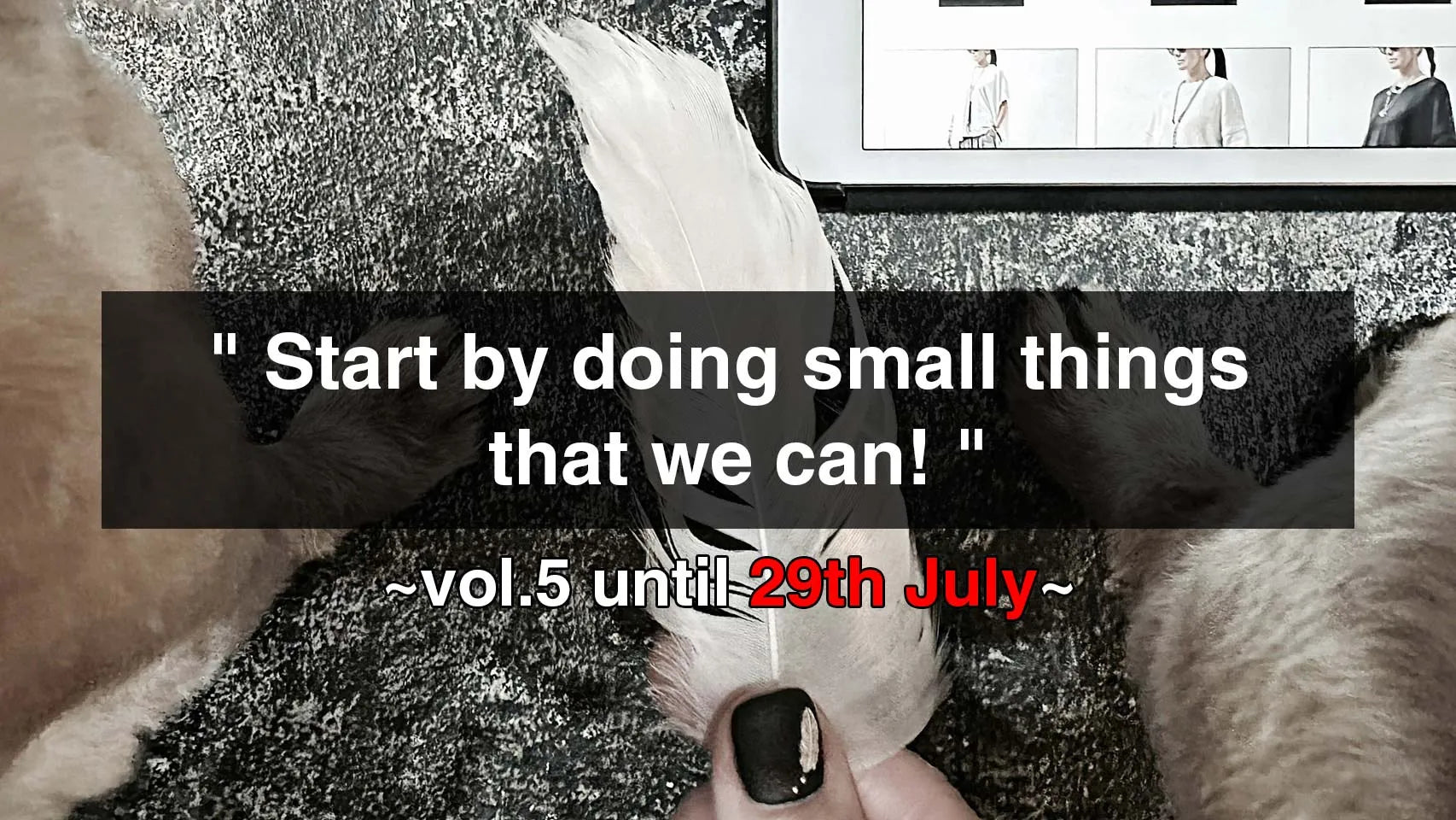 Start by doing small things that we can! vol.5