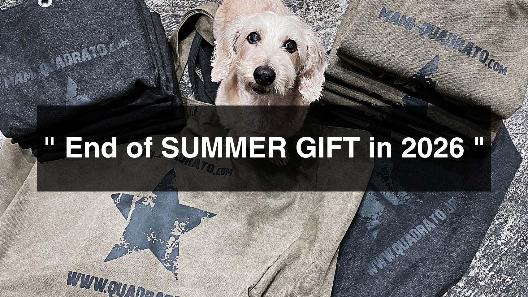 End of SUMMER GIFT in 2026